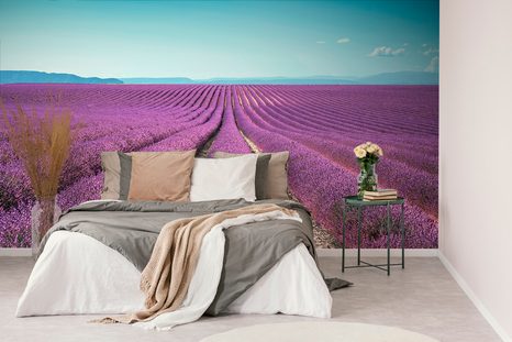 CARTA DA PARATI – CAMPO DI LAVANDA INFINITO - CARTA DA PARATI NATURA - CARTA DA PARATI