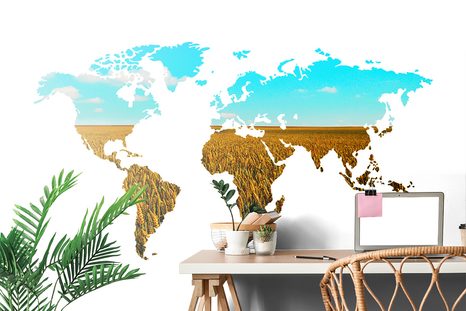 SAMOLEPÍCÍ TAPETA MAPA SVĚTA NA BÍLÉM POZADÍ - SAMOLEPÍCÍ TAPETY - TAPETY