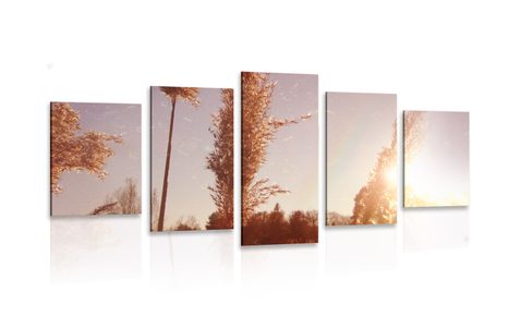 5-PIECE CANVAS PRINT AUTUMN ATMOSPHERE - PICTURES OF FIELDS AND MEADOWS - PICTURES