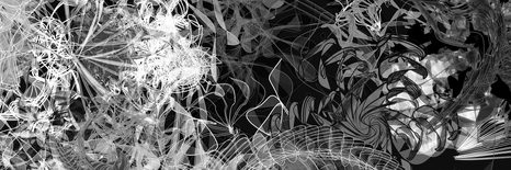 TABLEAU SUR TOILE – ART ABSTRAIT EN NOIR ET BLANC - TABLEAUX EN NOIR ET BLANC - TABLEAUX