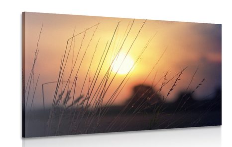 CANVAS PRINT SUNRISE OVER A MEADOW - PICTURES OF NATURE AND LANDSCAPE - PICTURES