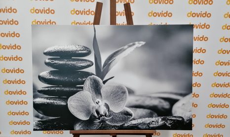 CANVAS PRINT MEDITATIVE ZEN COMPOSITION IN BLACK AND WHITE - BLACK AND WHITE PICTURES - PICTURES