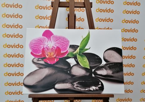 OBRAZ MASÁŽNÍ WELLNESS KAMENY - OBRAZY FENG SHUI - OBRAZY