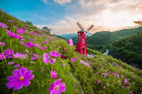 FOTOTAPETA LOUKA U KOUZELNÉHO MLÝNA - TAPETY PŘÍRODA - TAPETY
