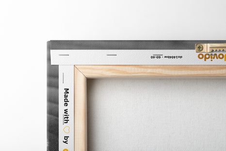 QUADRO SU TELA – PIETRA RILASSANTE IN BIANCO E NERO - STAMPE E QUADRI - 🔥 SVENDITA TOTALE