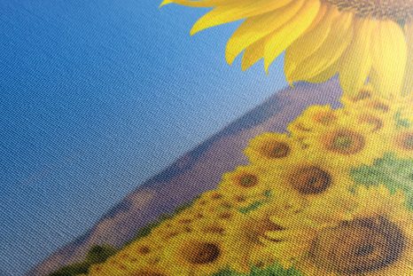 CANVAS PRINT SUNFLOWER FIELD - PICTURES - 🔥 TOTAL SALE 🔥