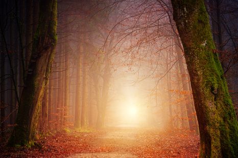 КАРТИНА НА ПЛАТНО – ГОРА В ПРИКАЗНИ ЦВЕТОВЕ - КАРТИНИ НА ПРИРОДАТА И ПЕЙЗАЖИ - КАРТИНИ