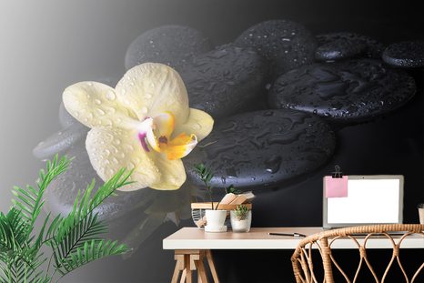 CARTA DA PARATI AUTOADESIVA – PIETRE ZEN CON ORCHIDEA GIALLA - CARTA DA PARATI AUTOADESIVE - CARTA DA PARATI