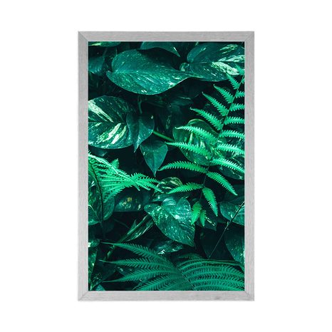 POSTER – FOGLIE TROPICALI FRESCHE - NATURA - POSTER