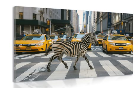 TABLOU ZEBRA ÎN NEW YORK - DOVIDO CHALLENGE - TABLOURI