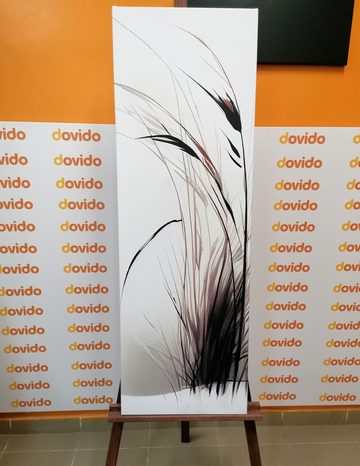 WANDBILD TROCKENE GRASHALME - BILDER VON GRASHALMEN - BILDER