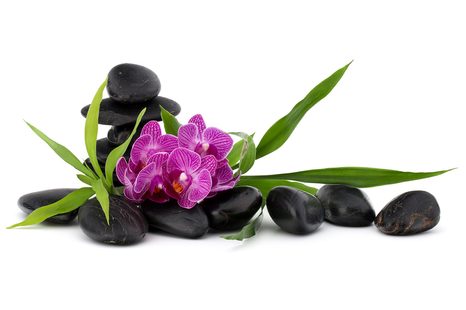 CARTA DA PARATI – ORCHIDEA VIOLA IN UN AMBIENTE ZEN - CARTA DA PARATI FENG SHUI - CARTA DA PARATI