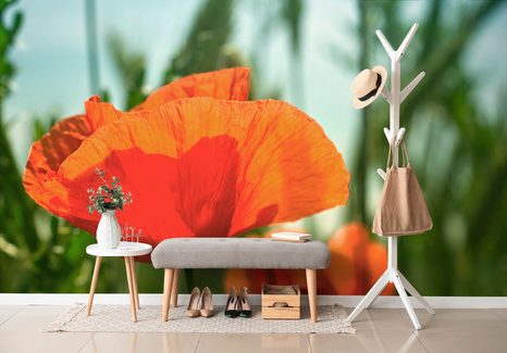 SAMOLEPÍCÍ FOTOTAPETA ČERVENÝ MÁK - SAMOLEPÍCÍ TAPETY - TAPETY