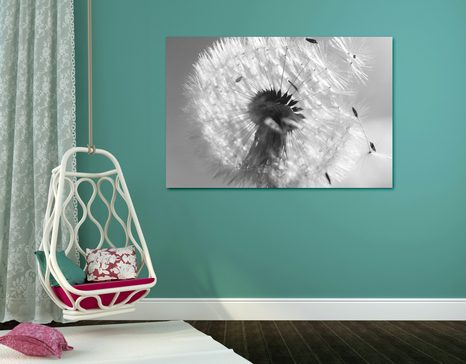 CANVAS PRINT DETAIL OF A DANDELION IN BLACK AND WHITE - BLACK AND WHITE PICTURES - PICTURES