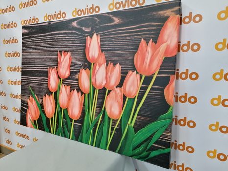 KÉP ELBŰVÖLŐ NARANCSSÁRGA TULIPÁNOK FÁBÓL KÉSZÜLT HÁTTÉREN - KÉPEK - 🔥 TELJES KIÁRUSÍTÁS