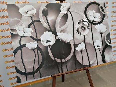 ΕΙΚΌΝΑ ΠΑΠΑΡΟΎΝΕΣ ΣΕ ΑΦΗΡΗΜΈΝΟ ΦΌΝΤΟ ΣΕ ΑΣΠΡΌΜΑΥΡΟ - ΠΊΝΑΚΕΣ ΑΣΠΡΌΜΑΥΡΕΣ - ΠΊΝΑΚΕΣ