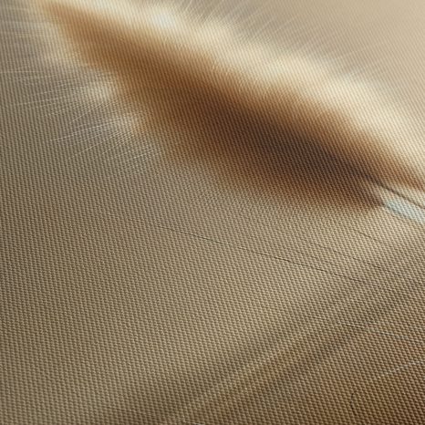 WANDBILD ZARTES PAMPASGRAS - BILDER VON GRASHALMEN - BILDER