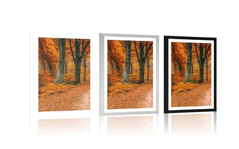 POSZTER PASZPORTUVAL ERDŐ ŐSZI IDŐBEN - TERMÉSZETKÉPES - POSZTEREK