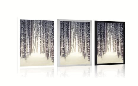 PLAKÁT LES ZAHALENÝ SNĚHEM - PŘÍRODA - PLAKÁTY