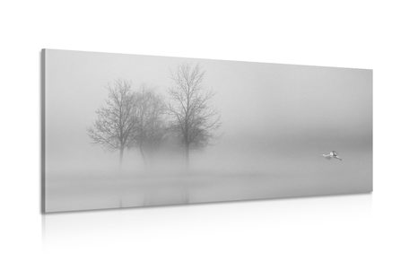 WANDBILD BÄUME IM NEBEL IN SCHWARZ-WEISS - SCHWARZ-WEISSE BILDER - BILDER