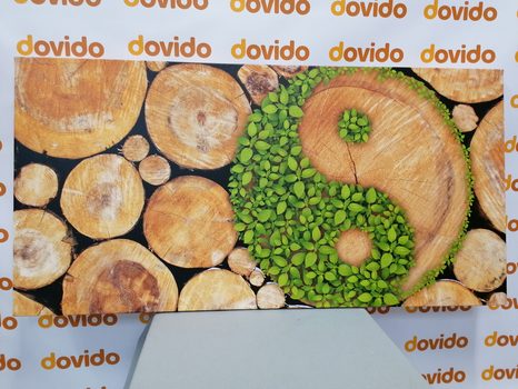 SLIKA JIN IN JANG V EKO IZVEDBI - SLIKE FENG SHUI - SLIKE