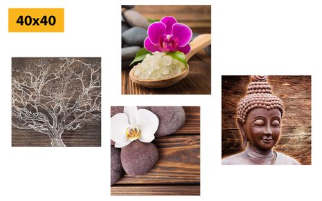 SET OBRAZŮ FENG SHUI V PŘÍRODNÍM PROVEDENÍ - SESTAVY OBRAZŮ - OBRAZY