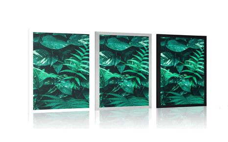 POSTER – FOGLIE TROPICALI FRESCHE - NATURA - POSTER