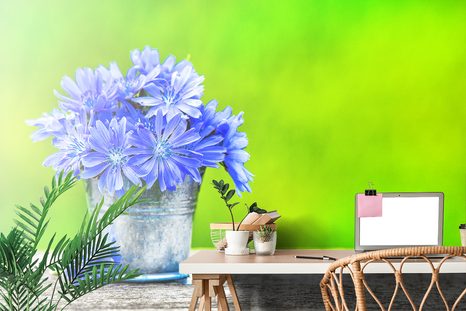 FOTOTAPETA KVĚTINY V KBELÍKU - TAPETY KVĚTINY - TAPETY