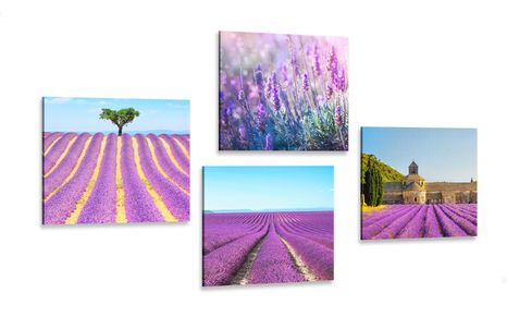 SET DI QUADRI CAMPI DI LAVANDA - COLLEZIONI DI QUADRI - QUADRI