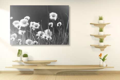 SLIKA BOMBAŽ V ČRNOBELI IZVEDBI - ČRNOBELE SLIKE - SLIKE