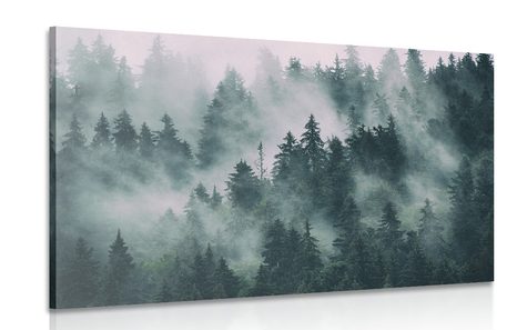 CANVAS PRINT MOUNTAINS IN THE FOG - PICTURES OF NATURE AND LANDSCAPE - PICTURES