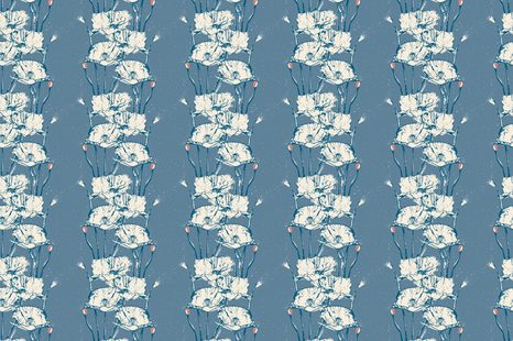 TAPETA MAGICKÉ LUČNÍ MÁKY - TAPETY KVĚTINY - TAPETY