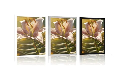 PLAKÁT NÁDHERNÝ KVĚT S RETRO NÁDECHEM - KVĚTINY - PLAKÁTY