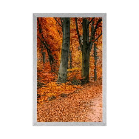 PLAKÁT LES V PODZIMNÍM OBDOBÍ - PŘÍRODA - PLAKÁTY