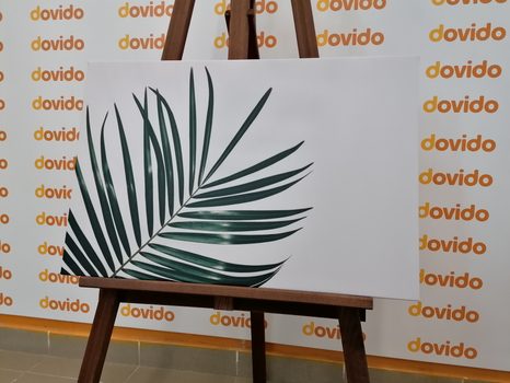 TABLEAU SUR TOILE – MAGNIFIQUE FEUILLE DE PALMIER - TABLEAUX DE NATURES MORTES - TABLEAUX