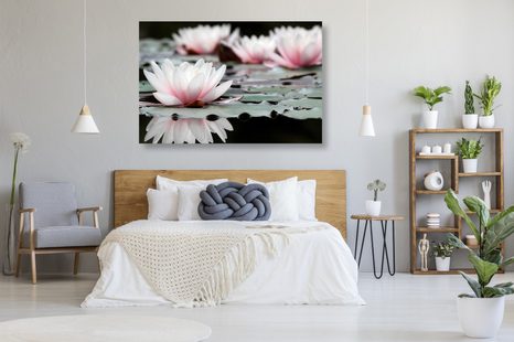 OBRAZ LOTOSOVÝ KVĚT - OBRAZY KVĚTŮ - OBRAZY