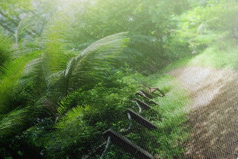 WANDBILD WEG AUF DEN SEYCHELLEN - BILDER VON NATUR UND LANDSCHAFT - BILDER