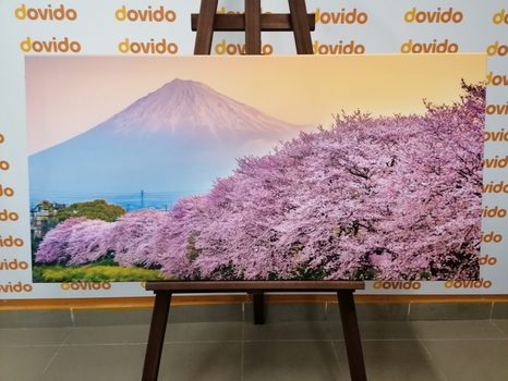 SLIKA ČUDOVITA JAPONSKA - SLIKE NARAVE IN POKRAJINE - SLIKE