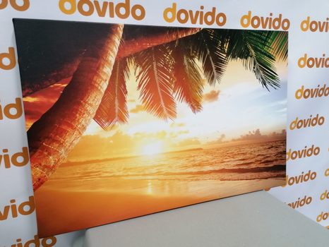 КАРТИНА НА ПЛАТНО – ИЗГРЕВ НА КАРИБСКИЯ ПЛАЖ - КАРТИНИ НА ПРИРОДАТА И ПЕЙЗАЖИ - КАРТИНИ