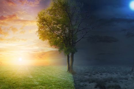 КАРТИНА НА ПЛАТНО – ДЕН И НОЩ - КАРТИНИ НА ПРИРОДАТА И ПЕЙЗАЖИ - КАРТИНИ