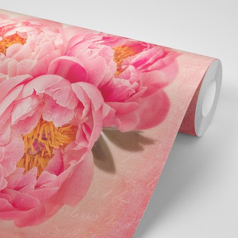 SAMOLEPÍCÍ TAPETA NĚŽNÁ PIVOŇKA - SAMOLEPÍCÍ TAPETY - TAPETY