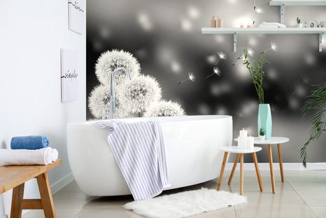 TAPETA ČERNOBÍLÁ NADÝCHANÁ PAMPELIŠKA - ČERNOBÍLÉ TAPETY - TAPETY