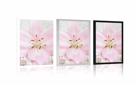 PLAGÁT RUŽOVÁ ĽALIA A ZEN KAMENE - FENG SHUI - PLAGÁTY