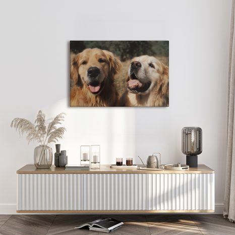 WANDBILD FRÖHLICHE HUNDEGESICHTER - BILDER VON HUNDEN - BILDER