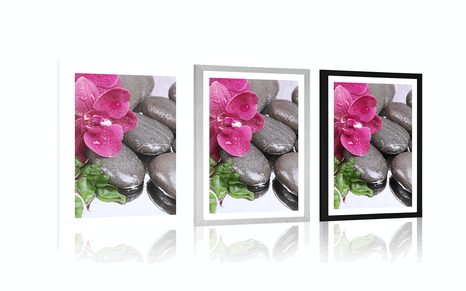 AFFICHE – ORCHIDÉE FLEURIE ET PIERRES DE BIEN-ÊTRE - FENG SHUI - AFFICHES