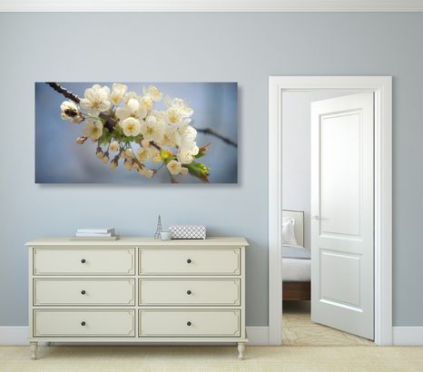 WANDBILD BLÜHENDER KIRSCHBLÜTENZWEIG - BILDER BLUMEN - BILDER