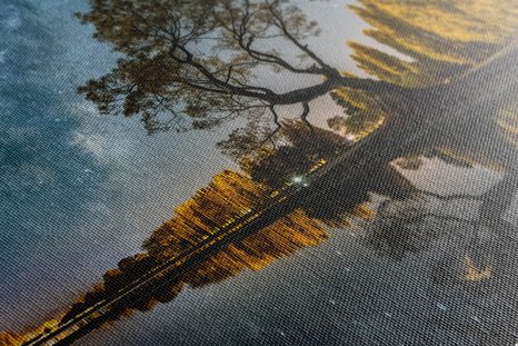 КАРТИНА НА ПЛАТНО – ДЪРВО ПОД ЗВЕЗДНОТО НЕБЕ - КАРТИНИ НА ПРИРОДАТА И ПЕЙЗАЖИ - КАРТИНИ