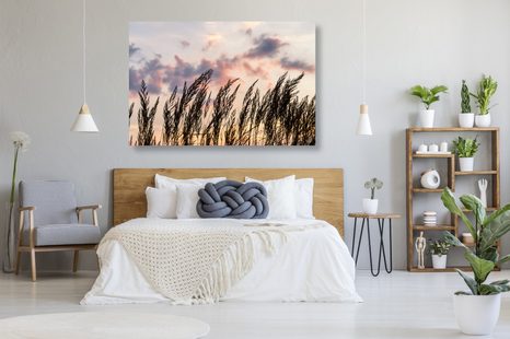 OBRAZ STÉBLA POLNÍ TRÁVY - OBRAZY PŘÍRODY A KRAJINY - OBRAZY