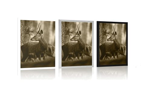 POSTER HIRSCH IM KIEFERWALD IN SEPIA - SCHWARZ-WEISS - POSTER