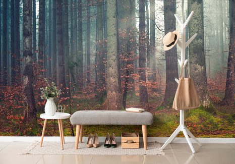 SELBSTKLEBENDE FOTOTAPETE GEHEIMNISVOLLER WALD (2) - TAPETEN - 🔥 TOTALAUSVERKAUF